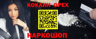 сатива Новодвинск