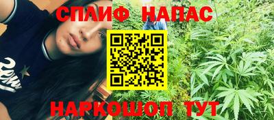 ECSTASY Новокубанск