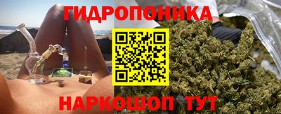 сатива Новодвинск